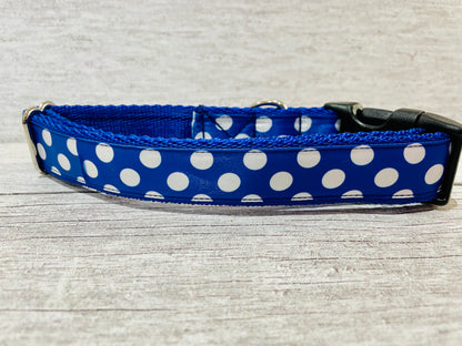 Royal Blue and White Spots Dots Dog Collar - View 2 | Dottie's Pet Boutique