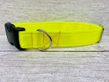 Plain Bright Yellow Hi-Viz Cushioned Webbing Dog Collar