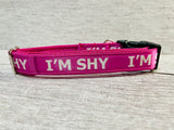 I'm Shy - Shy Dog Collar - Any Colour