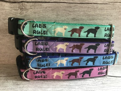 Labs Rules Dog Collar Labrador Rules - Handmade in the UK | Dottie's Pet Boutique