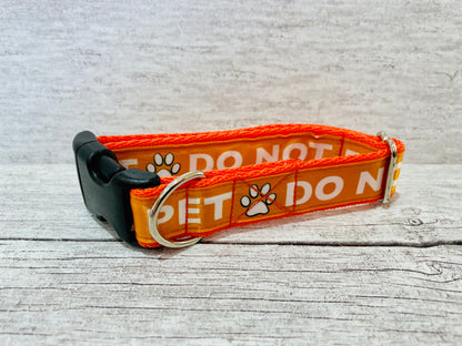 Solid Colour Do Not Pet Me Alert Dog Collar - View 2 | Dottie's Pet Boutique