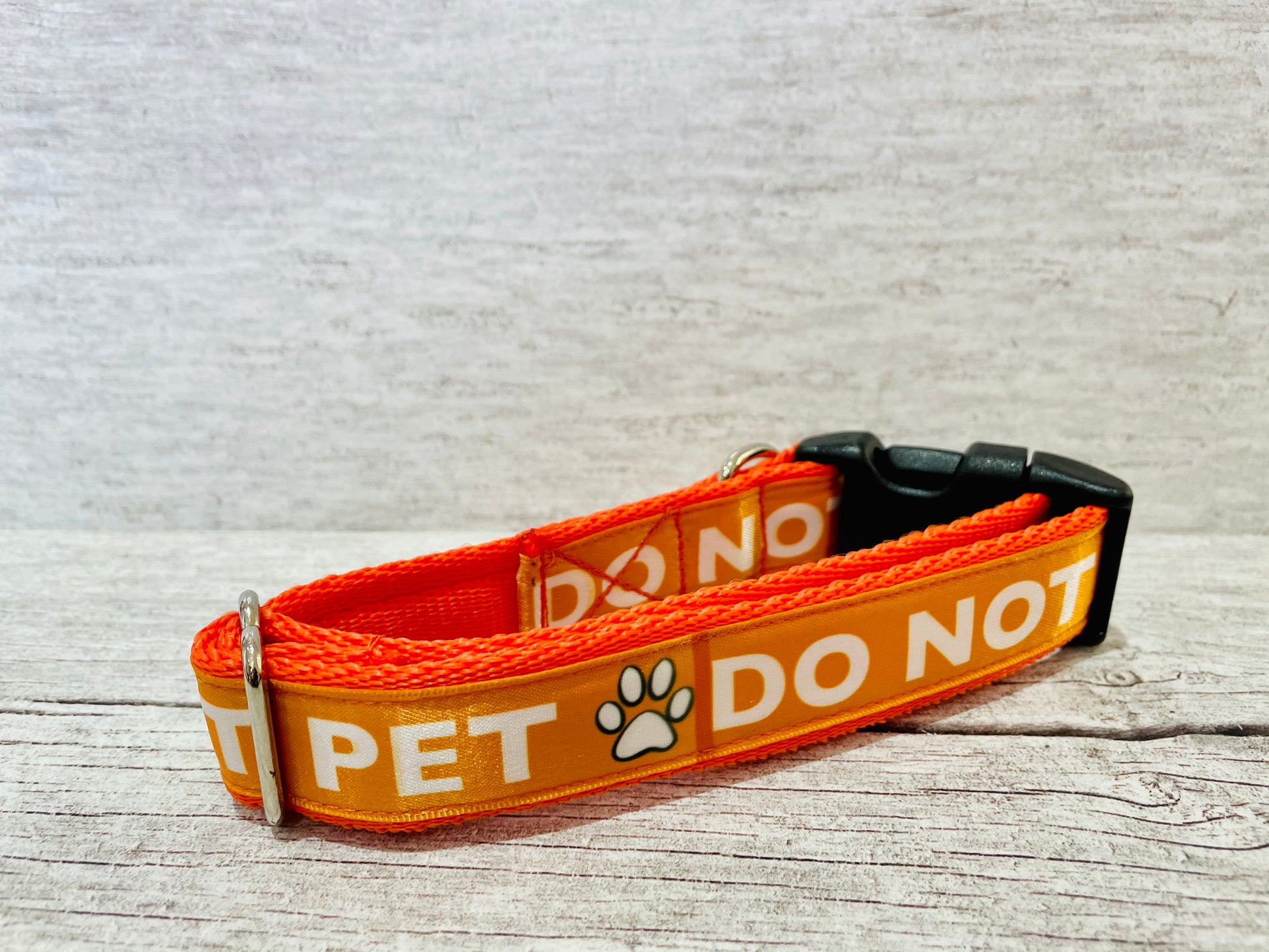 Solid Colour Do Not Pet Me Alert Dog Collar - View 4 | Dottie's Pet Boutique