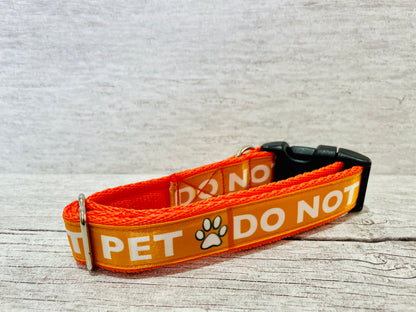 Solid Colour Do Not Pet Me Alert Dog Collar - View 4 | Dottie's Pet Boutique