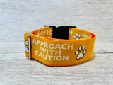 Approach with Caution Dog Collar - Any Colour