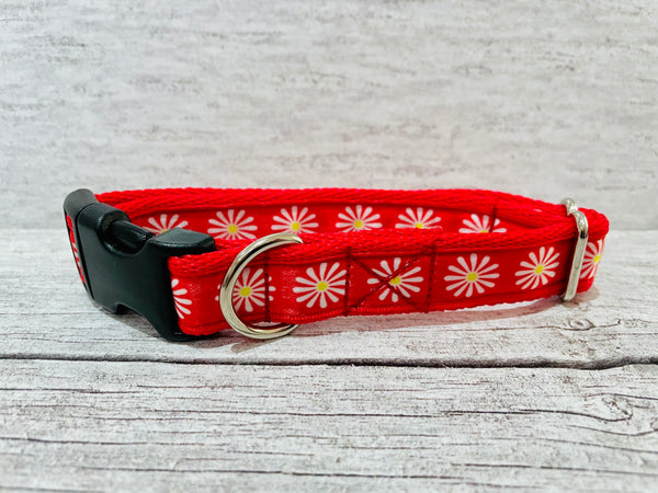 Red Daisy Ribbon Dog Collar