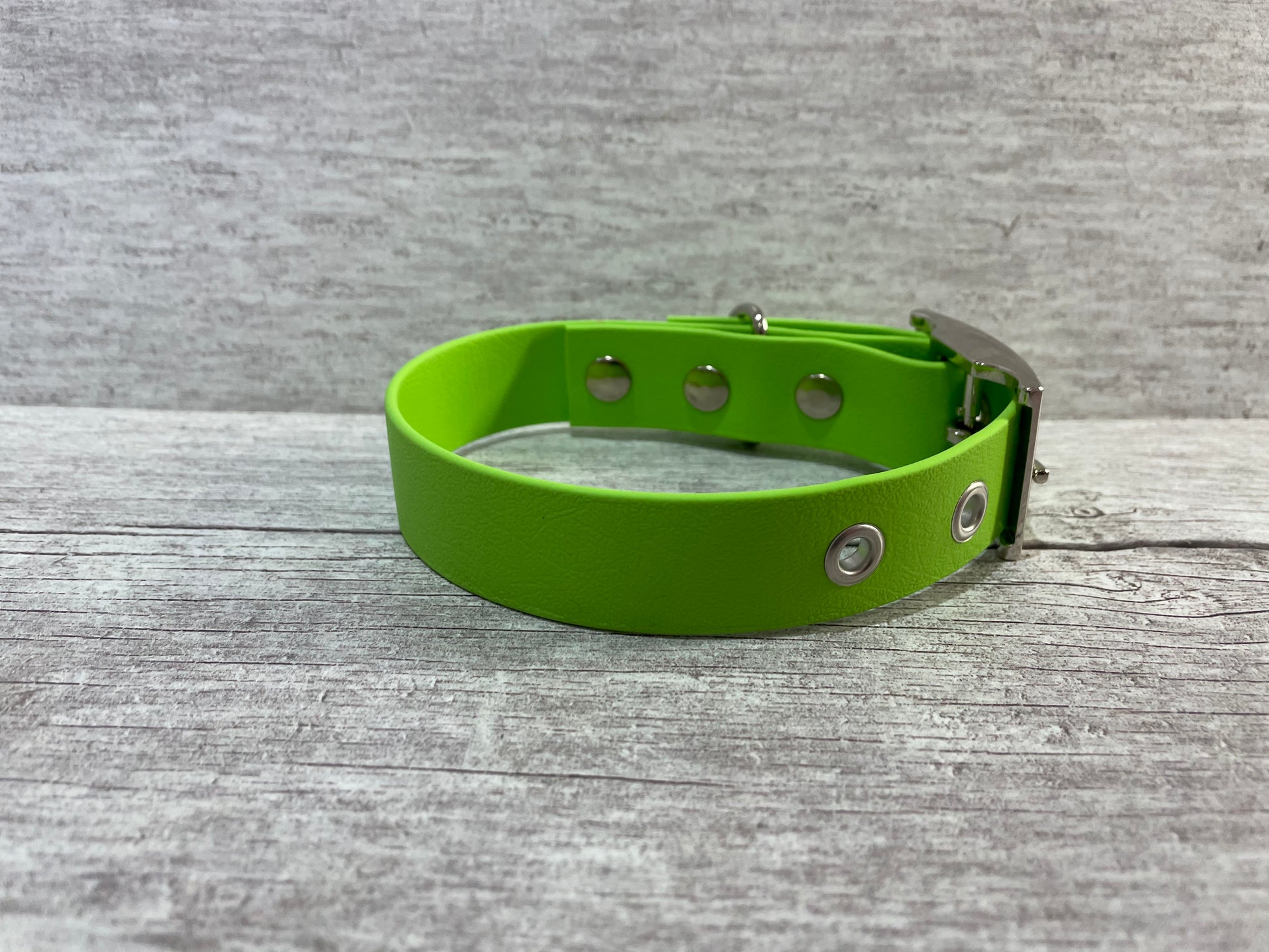 Pale Green Biothane Waterproof Dog Collar - View 3 | Dottie's Pet Boutique