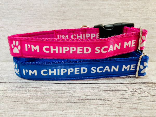 Chipped Scan Me Dog Collar
