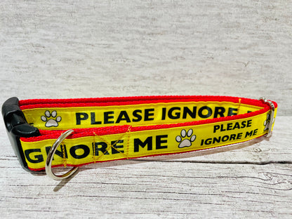 Please Ignore Dog Ribbon Lead/Leash