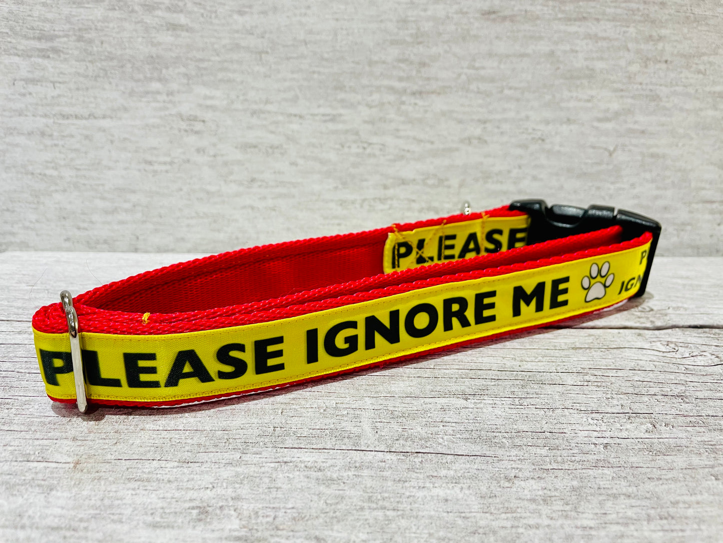 Please Ignore Dog Ribbon Lead/Leash