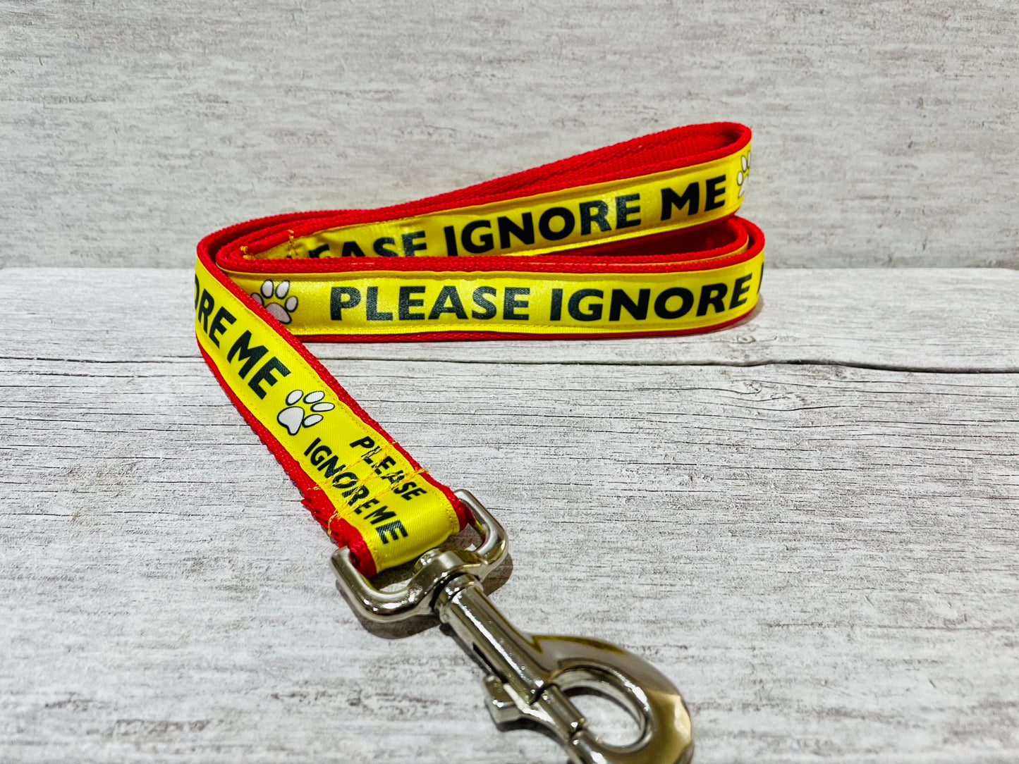 Please Ignore Dog Ribbon Lead/Leash