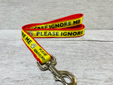 Please Ignore Dog Ribbon Lead/Leash