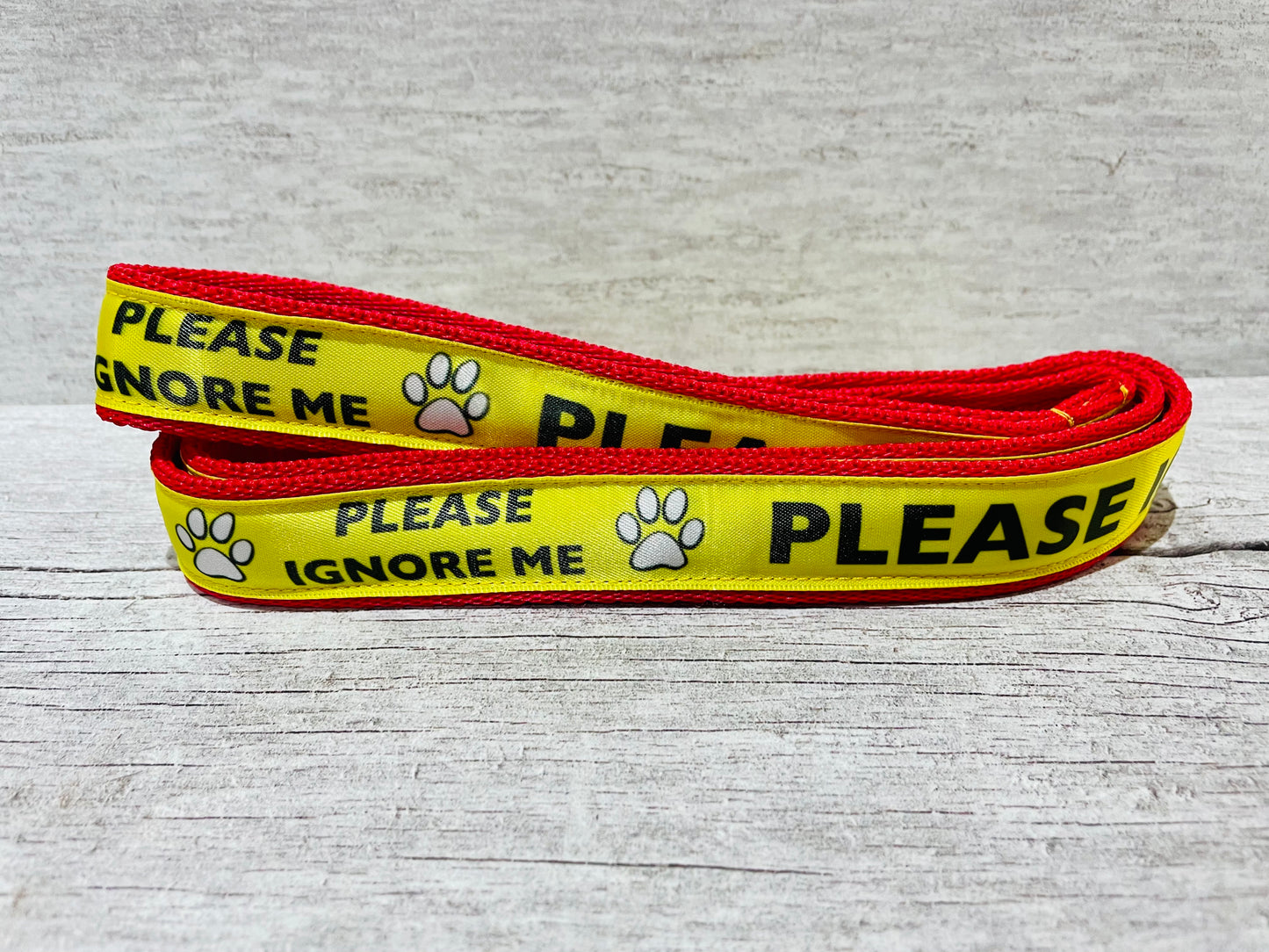 Please Ignore Dog Ribbon Lead/Leash
