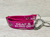 Deaf and Blind Dog Collar - Any Colour