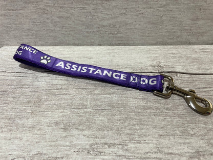 Assistance Dog Ribbon Dog Lead/Leash - View 7