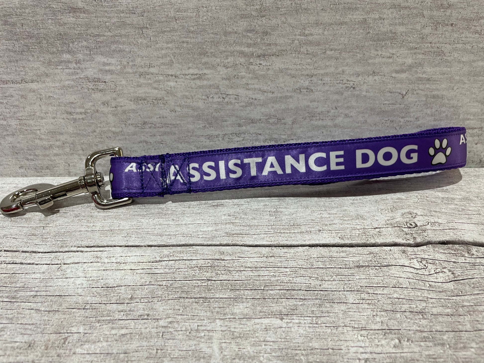 Assistance Dog Ribbon Dog Lead/Leash - View 6