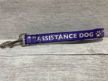 Assistance Dog Ribbon Dog Lead/Leash - View 6