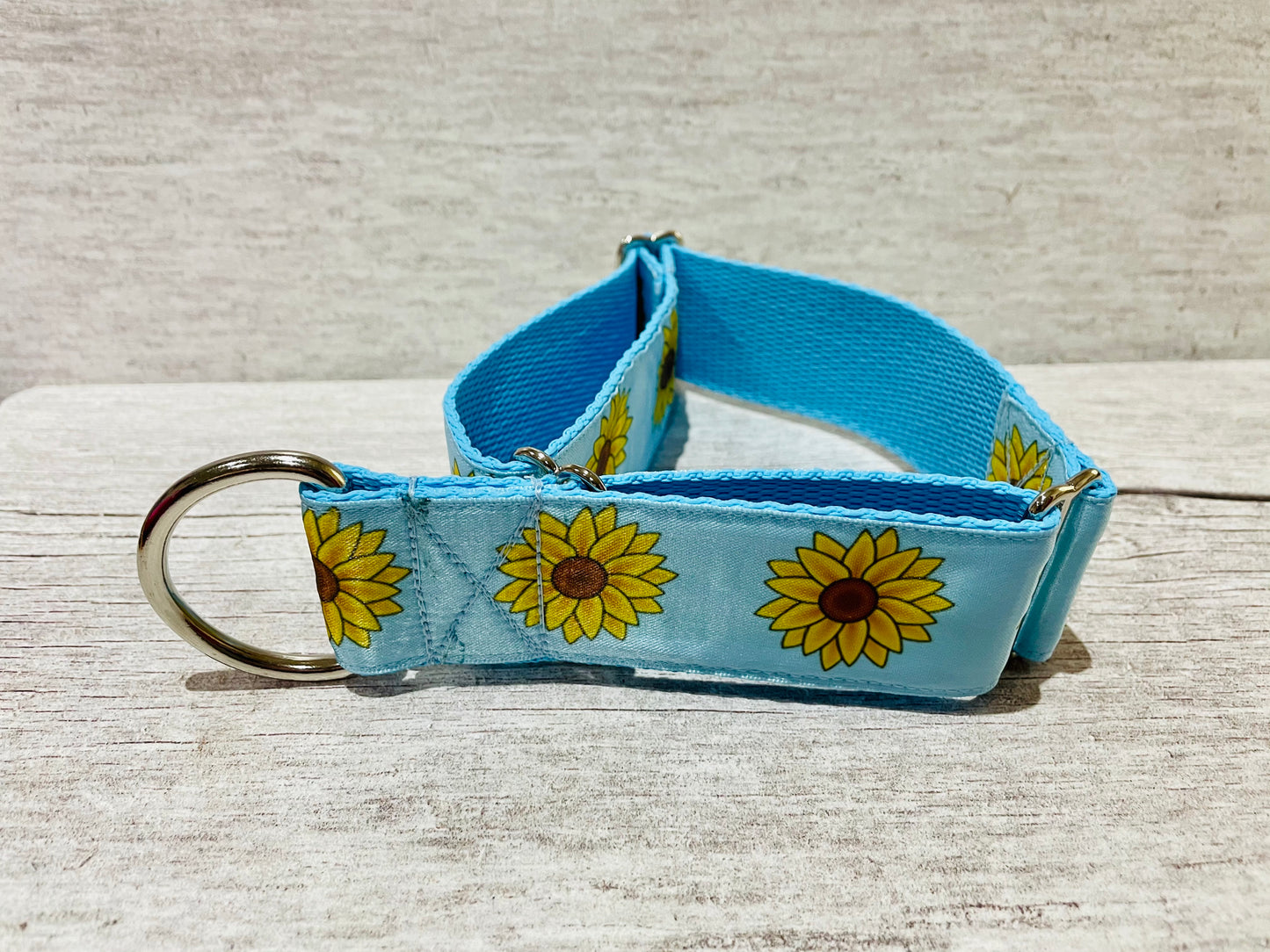 Blue Sunflower Heads Dog Collar - View 5 | Dottie's Pet Boutique