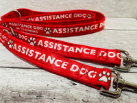 In Training - Assistance Dog Ribbon Dog Lead/Leash