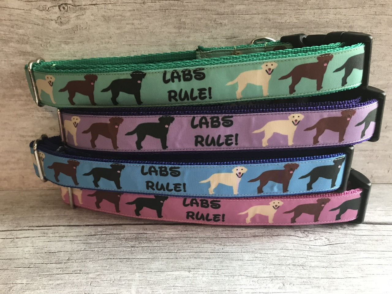 Labs Rules Dog Collar Labrador Rules - View 2 | Dottie's Pet Boutique