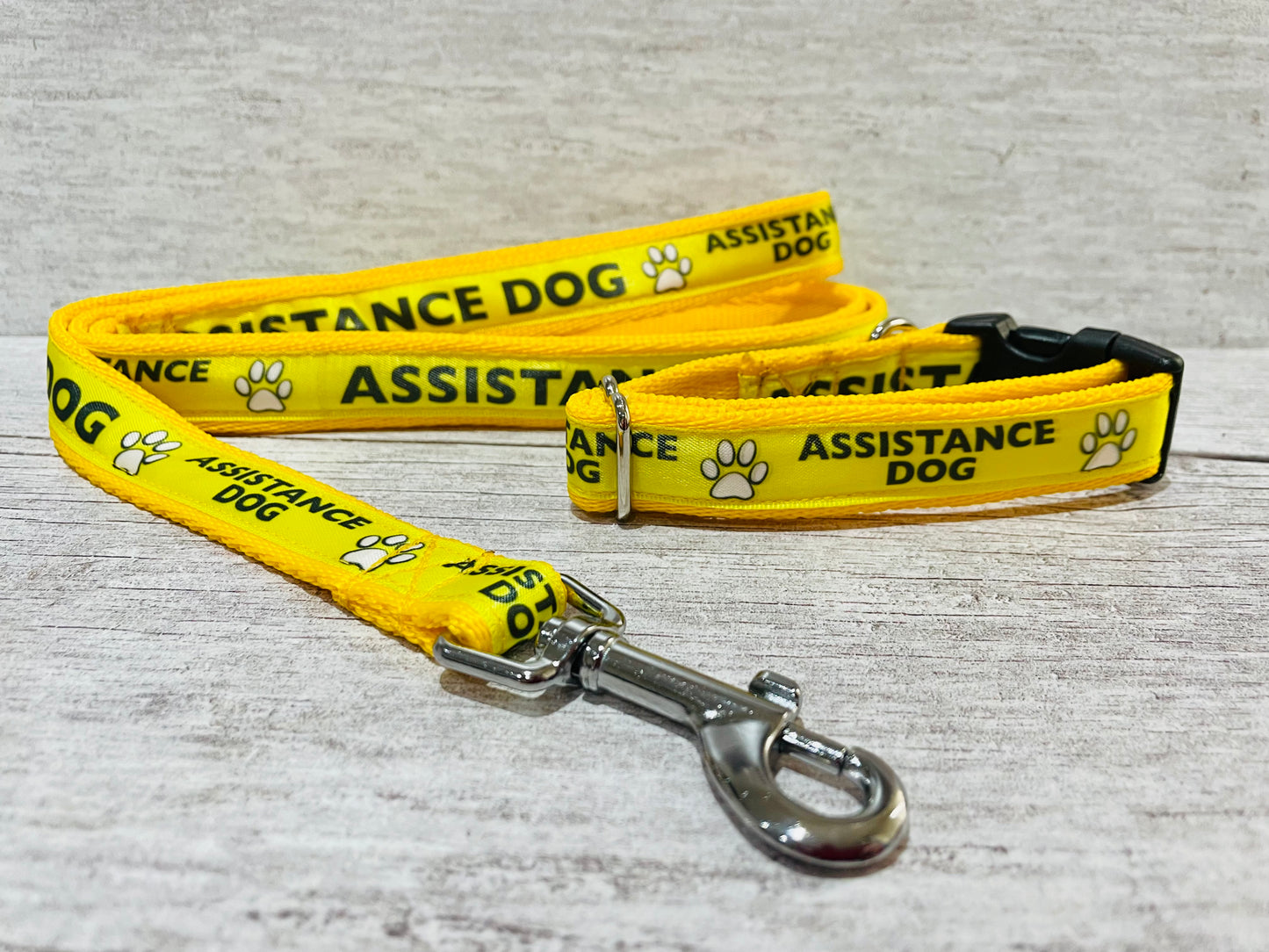 Assistance Dog Ribbon Dog Lead/Leash - View 10