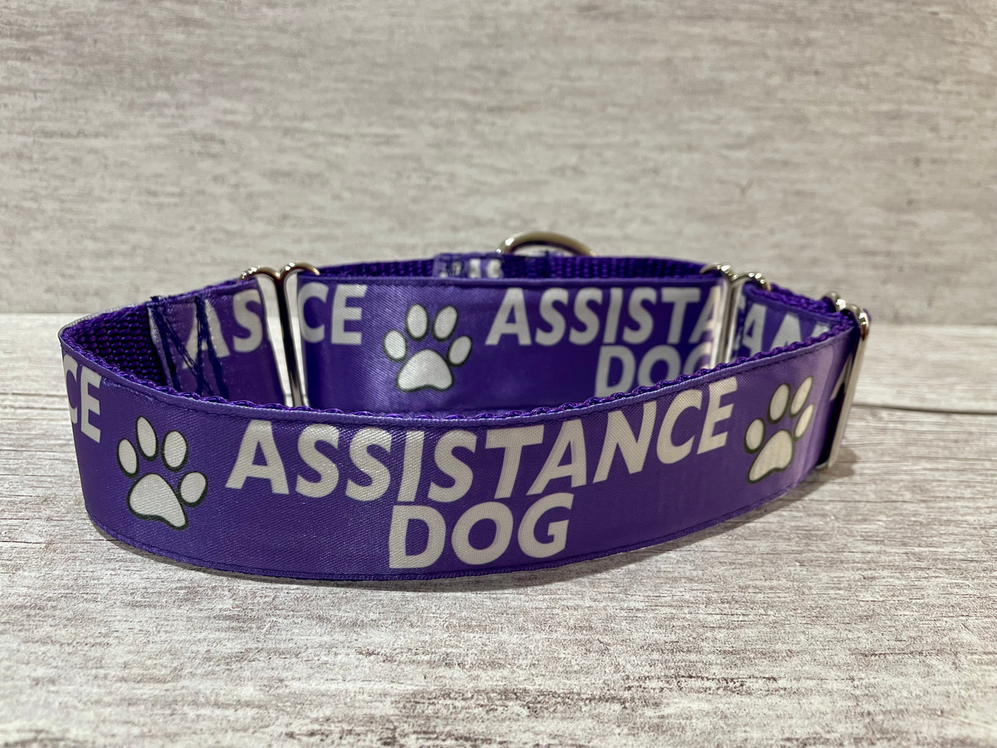 Assistance Dog Collar - View 8 | Dottie's Pet Boutique