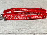 Deaf and Blind Ribbon Dog Lead/Leash