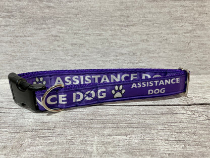 Assistance Dog Collar - View 5 | Dottie's Pet Boutique
