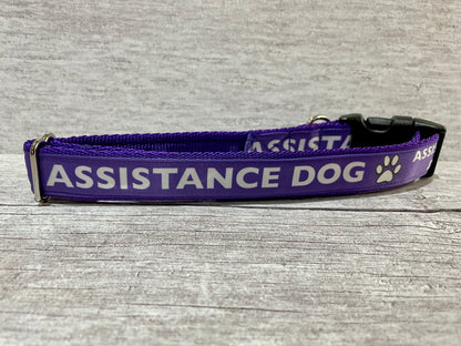 Assistance Dog Collar - View 6 | Dottie's Pet Boutique