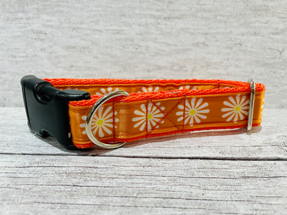 Orange Daisy Dog Collar - Handmade in the UK | Dottie's Pet Boutique