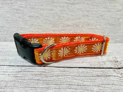 Orange Daisy Dog Collar - View 2 | Dottie's Pet Boutique