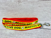 Reactive Dog Ribbon Lead/Leash