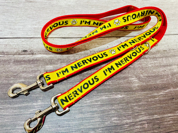 Yellow on Red Nervous Dog Ribbon Lead/Leash