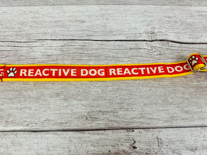 Reactive Dog Alert Dog Collar - View 3 | Dottie's Pet Boutique