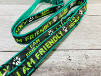 Friendly Dog Ribbon Lead/Leash - Black on Green
