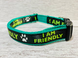 Friendly Dog Ribbon Lead/Leash - Black on Green