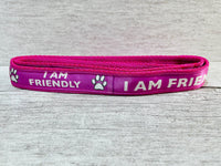 I am Friendly Ribbon Lead/Leash (Any Colour)