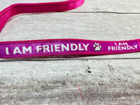 I am Friendly Ribbon Lead/Leash (Any Colour)