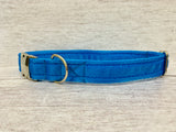Plain Collar with Silver Side Release