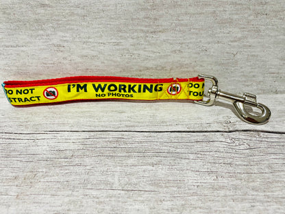 Pre-Designed Ribbon Short Control Lead - Handmade in the UK | Dottie's Pet Boutique