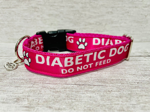 Hot Pink Diabetic - Medical Alert Dog Collar