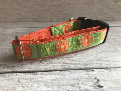 Lemon and Limes Dog Collar - View 2 | Dottie's Pet Boutique