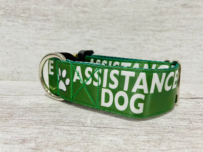 Assistance Dog Collar - View 10 | Dottie's Pet Boutique