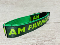 I am Friendly - Dog Collar - Black on Green