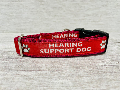 Hearing Support Dog Collar - View 7 | Dottie's Pet Boutique