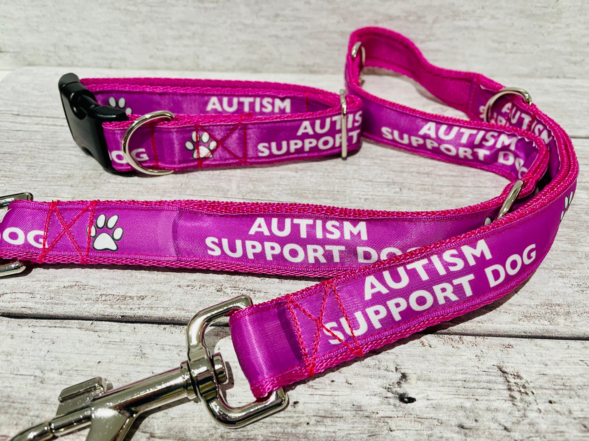 Autism Support Dog Lead - View 6 | Dottie's Pet Boutique