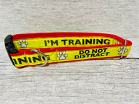 I'm Training Do Not Distract Dog Collar - Any Colour