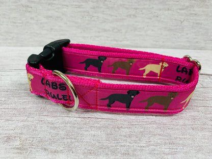 Labs Rules Dog Collar Labrador Rules - View 5 | Dottie's Pet Boutique