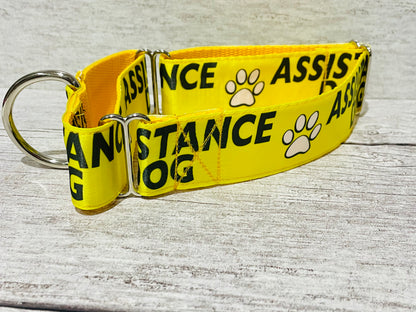 Assistance Dog Collar - View 14 | Dottie's Pet Boutique