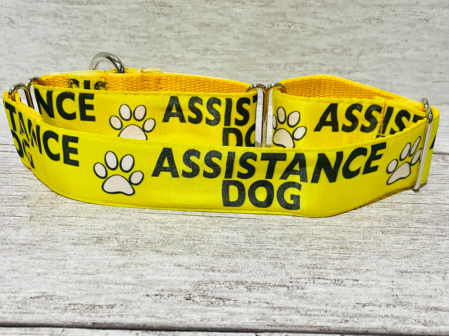 Assistance Dog Collar - View 13 | Dottie's Pet Boutique