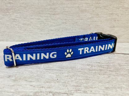 Training Alert Dog Collar - View 2 | Dottie's Pet Boutique